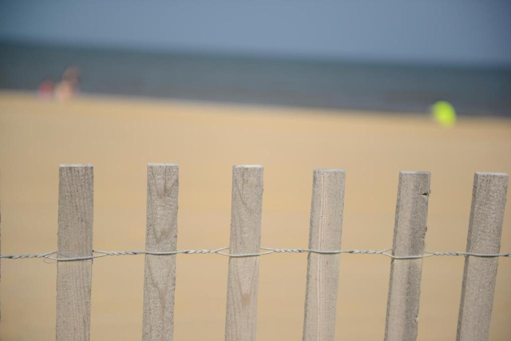 Beach House Dewey ดิวอีบีช ภายนอก รูปภาพ
